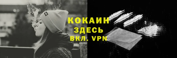 гидра Заводоуковск