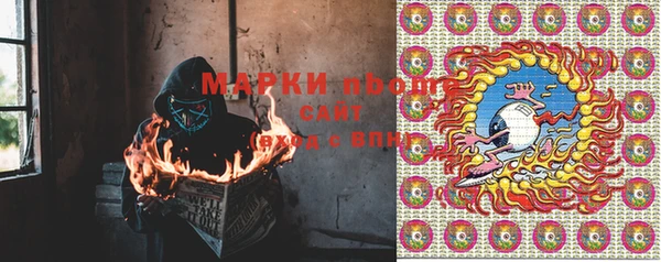 гидра Заводоуковск