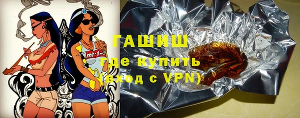 гидра Заводоуковск