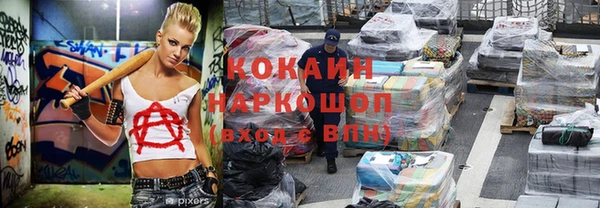 гидра Заводоуковск