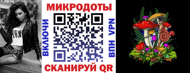 Галлюциногенные грибы Cubensis  Камень-на-Оби 